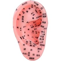 20個セット 未使用 FENGFAN 耳つぼ模型 耳ツボマッサージ 中国語表記 Amazon | 耳つぼ 模型 耳つぼシール 耳つぼジュエリー 練習 グッズ 耳